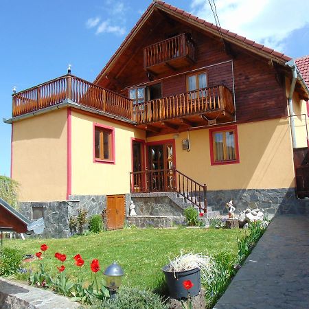 Pensiunea Neba Bran  Esterno foto